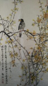 dm 20260125153506 001