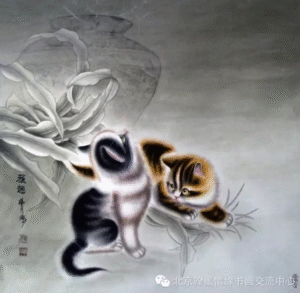 dm 20260125153506 008